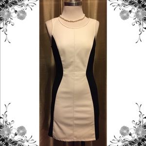 Wht/Blk fitted dress